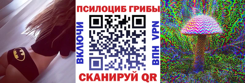 KRAKEN как зайти закладка Великий Устюг Галлюциногенные грибы Psilocybe